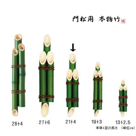 門松 竹（3本組竹 緑) 突起付 アレンジ素材 21cm+突起4cm丈