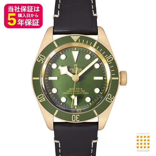 Tudor チューダー ブラックベイ58純正レザーベルト - www.muniloslagos.cl