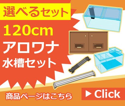 150cmアロワナ水槽セットのオーダーメイド製作｜東京アクアガーデン