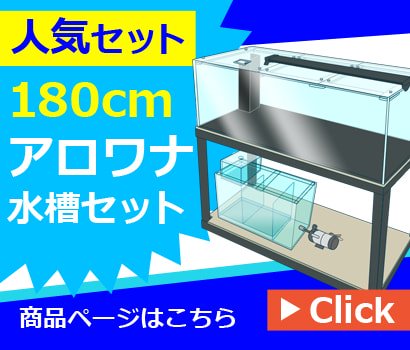 120cmアロワナ水槽セットのオーダーメイド製作｜東京アクアガーデン