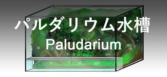 オーダーメイドパルダリウム水槽