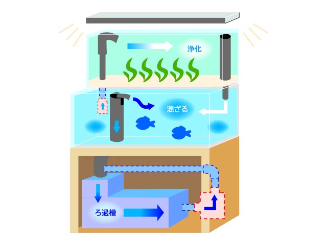 リフジウム水槽の仕組み・設置方法
