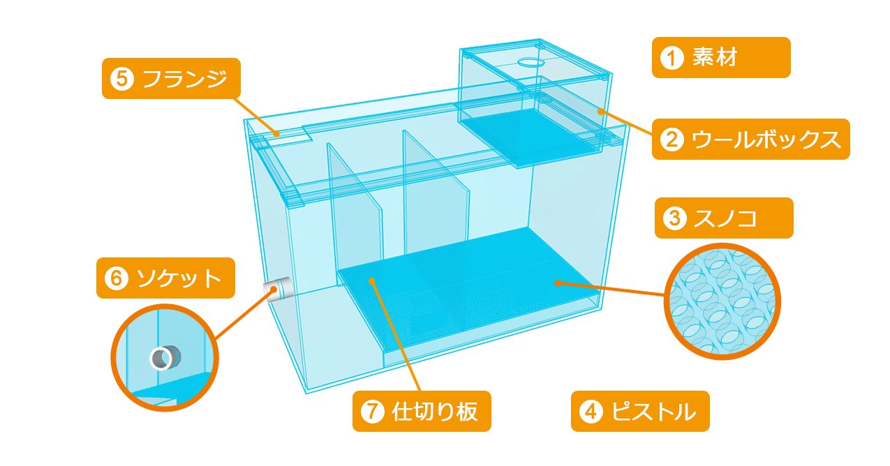 ろ過槽の構造を解説！水槽のオーダーメイドは東京アクアガーデン