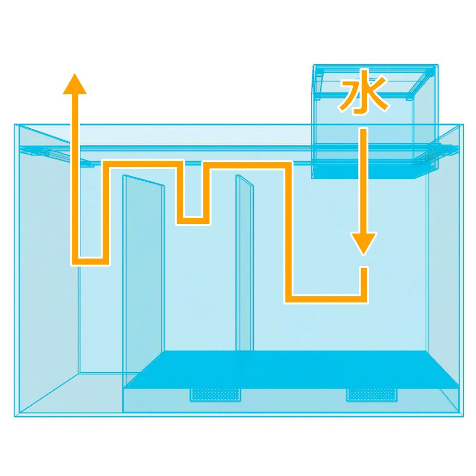ろ過槽の構造を解説！水槽のオーダーメイドは東京アクアガーデン