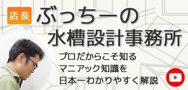 オーダーメイド水槽は東京アクアガーデンオンラインショップ