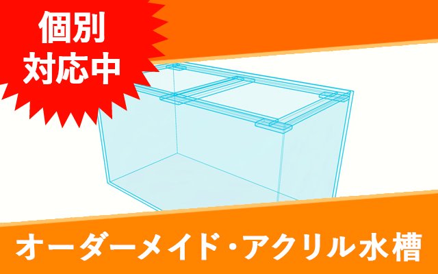 オーダーアクリル水槽 W450×D450×H900 - オーダーメイド水槽は東京アクアガーデンオンラインショップ