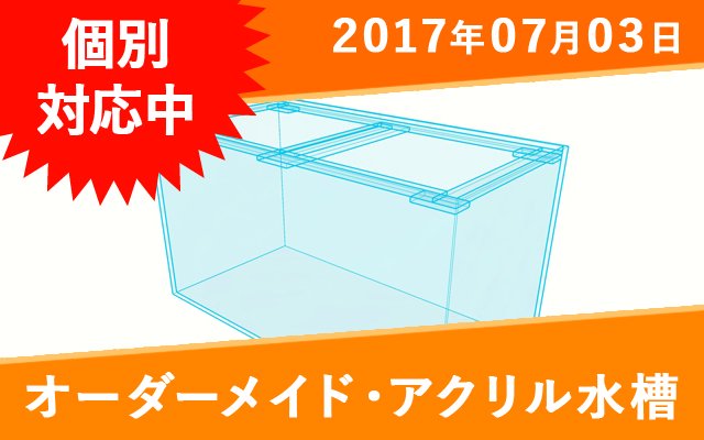 オーダーアクリル水槽 W600×D600×H360㎜ - オーダーメイド水槽は東京