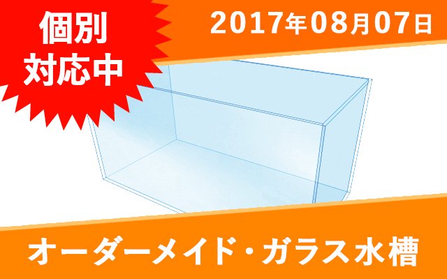 オーダーガラス水槽　W1200×D600×H600㎜ - オーダーメイド水槽は東京アクアガーデンオンラインショップ