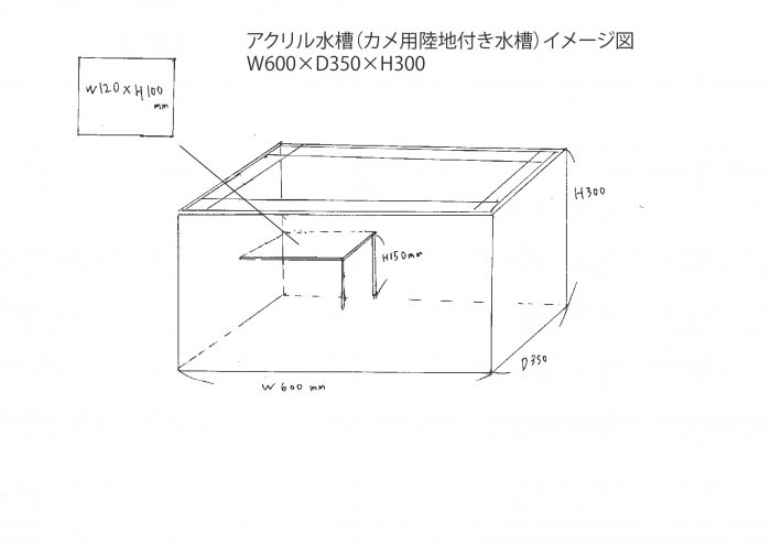 オーダーメイド カメ用陸地付きアクリル水槽 W600×D350×H300mm - オーダーメイド水槽は東京アクアガーデンオンラインショップ