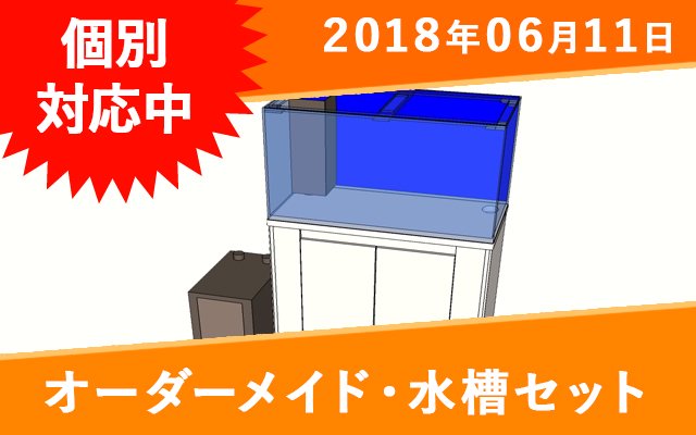 オーダーメイド アクリル水槽セット（W1200：2台、水槽台、濾過槽