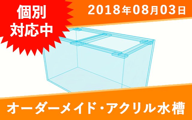 オーダーメイド アクリル水槽 W1000×D600×H50mm リブ・センター