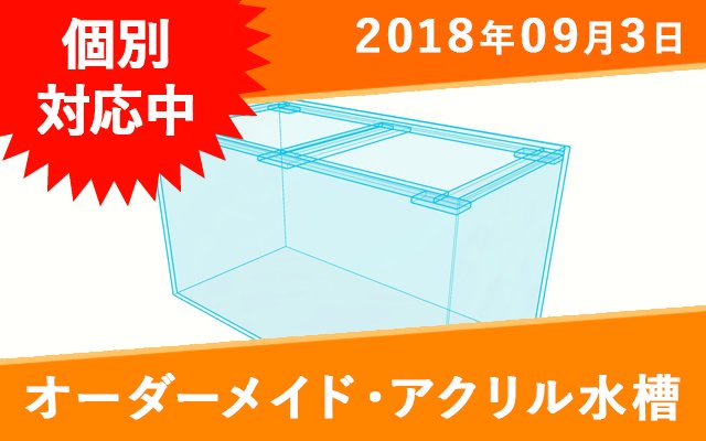 オーダーメイド　アクリル水槽 W500×D300×H360mm　 - オーダーメイド水槽は東京アクアガーデンオンラインショップ