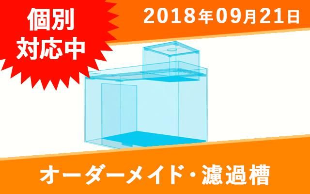 オーダーメイド　2槽式濾過槽　W600×D250×H300mm（ウールボックス別） - オーダーメイド水槽は東京アクアガーデンオンラインショップ