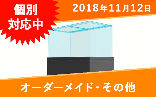 オーダーメイド　上部フィルター2台　W460×D200×H180mm - オーダーメイド水槽は東京アクアガーデンオンラインショップ