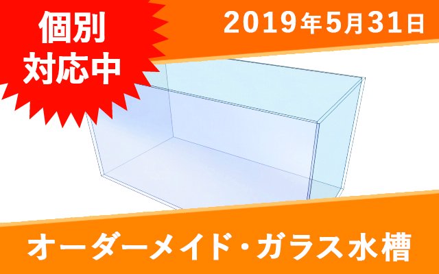 オーダーメイド 高透過ガラス水槽 W600×D300×H300mm - オーダーメイド