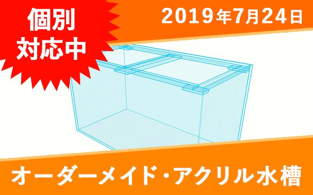 オーダーメイド　アクリル水槽　W250×D250×H250mm　※送料込み - オーダーメイド水槽は東京アクアガーデンオンラインショップ