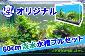 【トロピカオリジナル】W600�淡水水槽フルセット