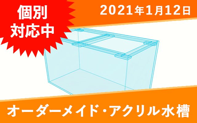 オーダーメイド　アクリル水槽　W1200×D600×H450mm　OF3重管　上下黒帯付き - オーダーメイド水槽は東京アクアガーデンオンラインショップ