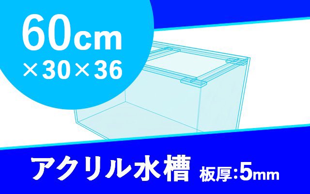 アクリル水槽　W600×D300×H360mm（規格サイズ） - オーダーメイド水槽は東京アクアガーデンオンラインショップ