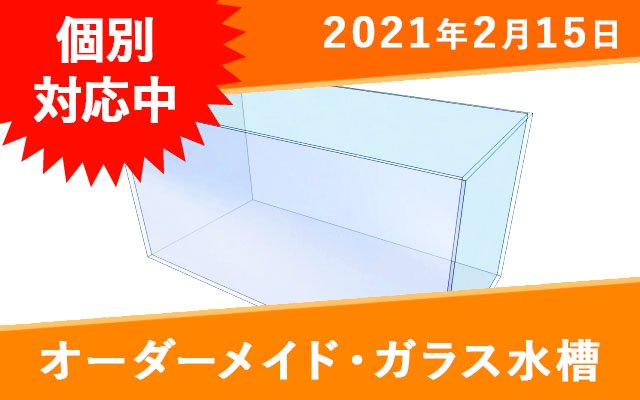 オーダーメイド　ガラス水槽　W900×D600×H450mm　板厚10mm　OF式 - オーダーメイド水槽は東京アクアガーデンオンラインショップ