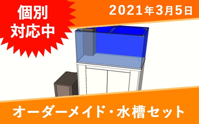 オーダーメイド アクリル水槽 W1200×D450×H450mm 板厚6mm・上部