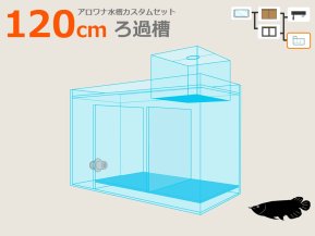 選べるアロワナ水槽セット120cm｜東京アクアガーデン