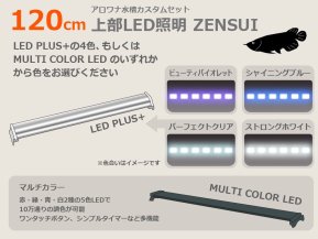 選べるアロワナ水槽セット120cm｜東京アクアガーデン