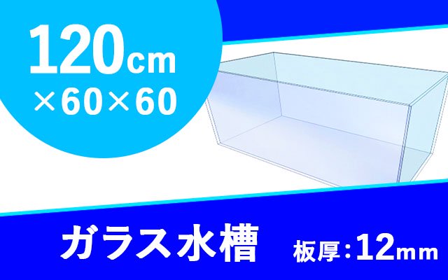 ガラス水槽 W1200×D600×H600mm（規格サイズ） - オーダーメイド水槽は東京アクアガーデンオンラインショップ