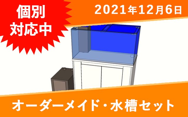 オーダーメイド　アクリル水槽（活魚水槽）　W1400×D450×H400mm　板厚8mm　パンチ版仕切り付き　エアーポンプ　セット -  オーダーメイド水槽は東京アクアガーデンオンラインショップ