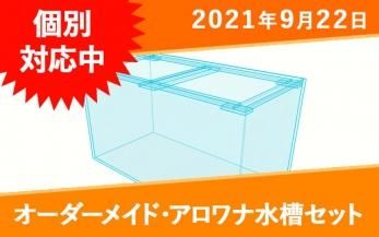 150cmアロワナ水槽セット一覧｜東京アクアガーデン