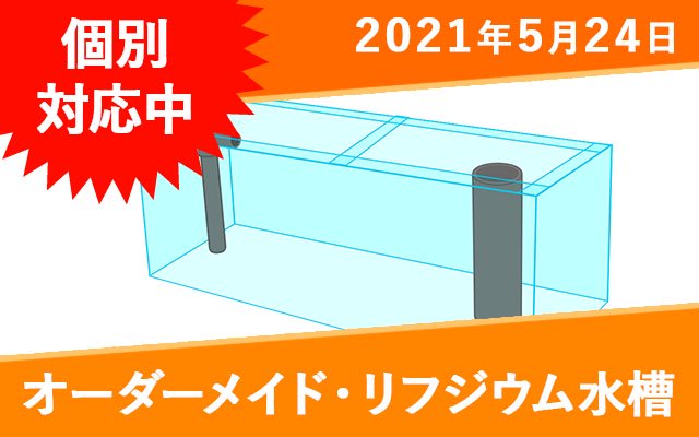 オーダーメイド アクリルリフジウム水槽 W600×D150×H200mm 板厚4mm OF3