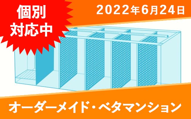 オーダーメイド　ベタマンション　アクリル水槽　W900×D300×H300mm　板厚5mm　底背面黒板 -  オーダーメイド水槽は東京アクアガーデンオンラインショップ