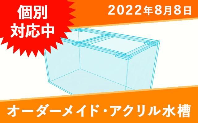 オーダーメイド　アクリル背面濾過水槽　W250×D270×H210mm　板厚5mm　 - オーダーメイド水槽は東京アクアガーデンオンラインショップ