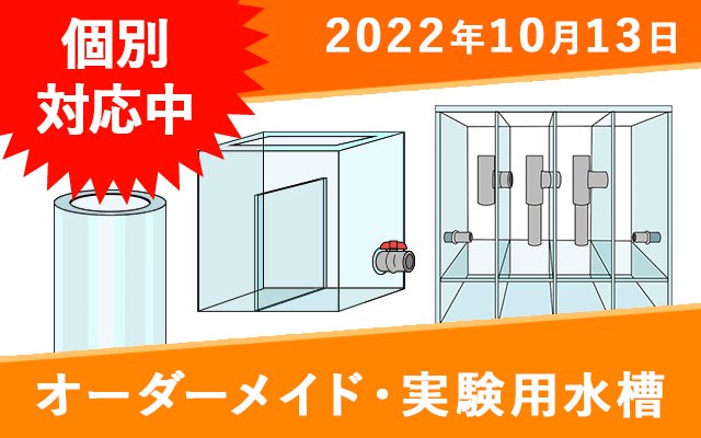 オーダーメイド　実験用アクリル水槽（内寸）W400×D40×H400mm　板厚8mm　リブ・センターフランジなし -  オーダーメイド水槽は東京アクアガーデンオンラインショップ