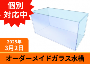 ᥤɡ饹ƥꥦ塡W300D270H400(H170)mmĸ5mm