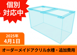 ᥤɡ塡ɲ