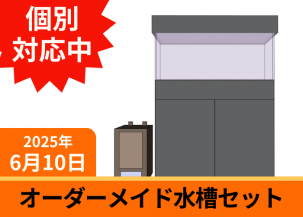 ᥤɡ塡ڸѽNo.MM250212