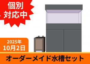 ᥤɡ W300D300H200mmĸ5mm 3桡 Ŵ å