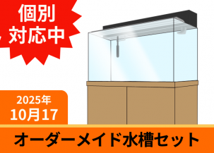 ᥤɡ塡 W1200D600H450mmĸ8mm桡ե륿å