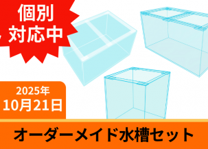 ᥤɥ ڸѽNo.MM250610