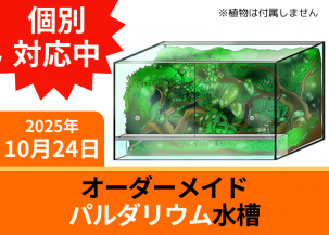 ¥ª¡¼¥À¡¼¥á¥¤¥É¡¡¥Ñ¥ë¥À¥ê¥¦¥à¿åÁå(¥¬¥é¥¹)¡¡W540¡ßD430¡ßH450mm¡¡Èĸü5mm¡¡·ê¤¢¤±¡¡¥½¥±¥Ã¥È²Ã¹©¤¢¤ê