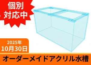 ¥ª¡¼¥À¡¼¥á¥¤¥É¡¡¥¢¥¯¥ê¥ë¿åÁå¡¡W600¡ßD400¡ßH500mm¡¡Èĸü6mm¡¡OF¥³¡¼¥Ê¡¼²Ã¹©