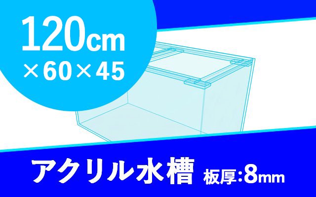 アクリル水槽　W1200×D600×H450mm　板厚8mm　(規格サイズ) - オーダーメイド水槽は東京アクアガーデンオンラインショップ