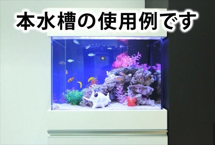 日海センター かんたんリフジウム水槽 - 魚用品/水草