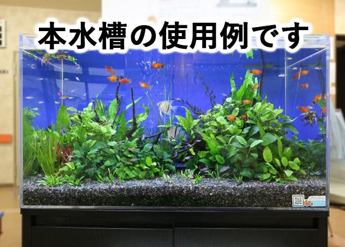 安心の板厚8mm  アクリル水槽　指定箇所シートサービス熱帯魚