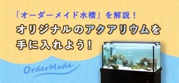 オーダーメイド水槽は東京アクアガーデンオンラインショップ