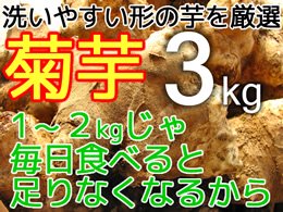 生の菊芋3kg