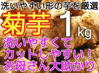 生の菊芋 1kg <神奈川県産>