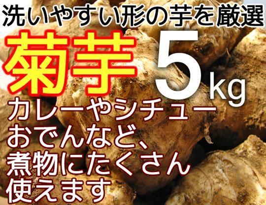 生の菊芋 5kg 販売は みらい農園 生の菊芋 5kg 販売は みらい農園