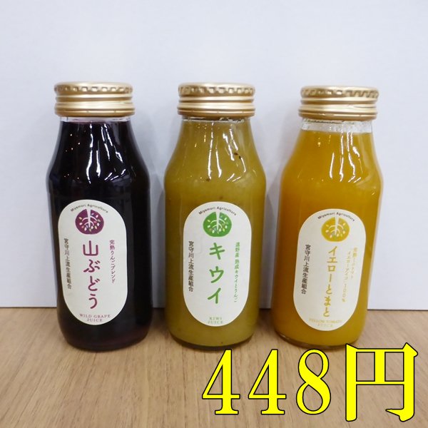 【宮守川上流生産組合】フレッシュジュース（小）（398円～498円） - 遠野時間＠Shop